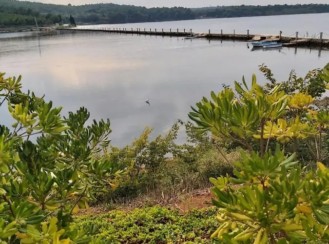 Kuca Za Odmor Marija *