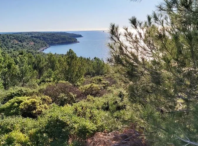 Kuca Za Odmor Marija Apartment